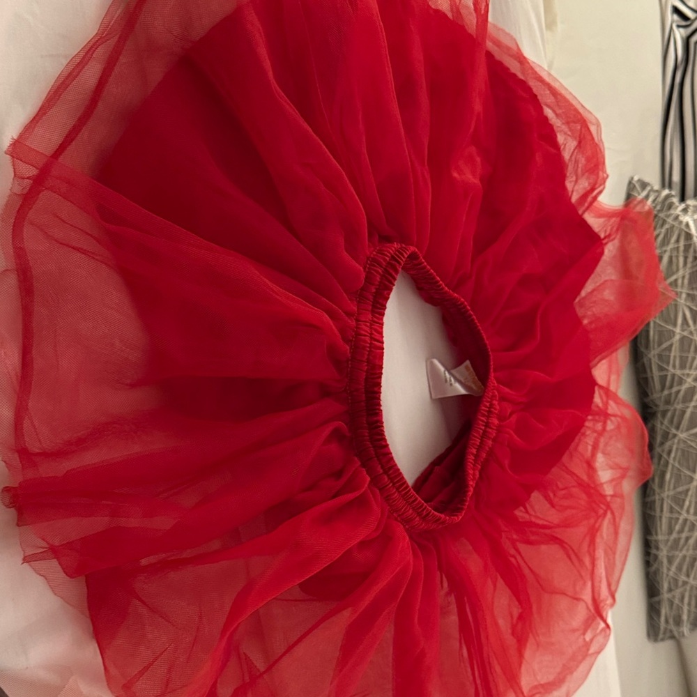 Gymboree Red Tulle Skirt